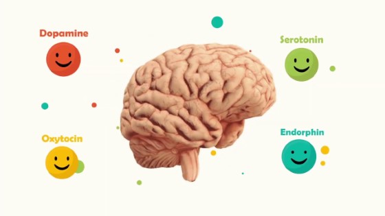 Díky interakci CBD s endokanabinoidním systém, dokáže CBD regulovat hladiny hormonů v mozku jako je dopamin či serotonin, čímž může pomoci zlepšit a stabilizovat náladu nebo odstranit úzkost či depresi